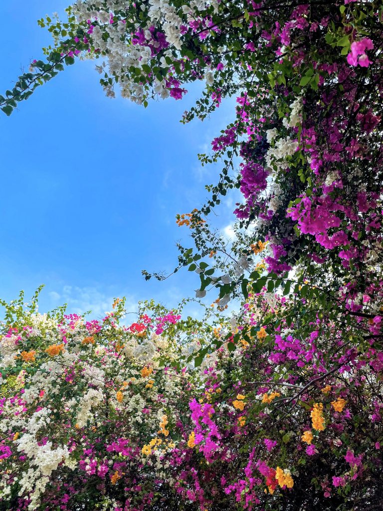 YOURE Epiphany - Giọt Mơ - 22