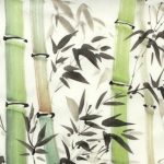 Tại sao “Định luật cây tre” đơn giản nhưng 90% người không làm được?