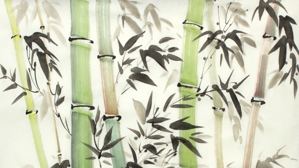 Định luật cây tre